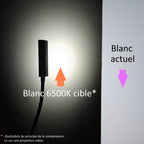 Lumière étalon de blanc 6500K pour calibrage visuel